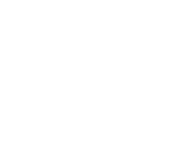 Vector 15 vector 15