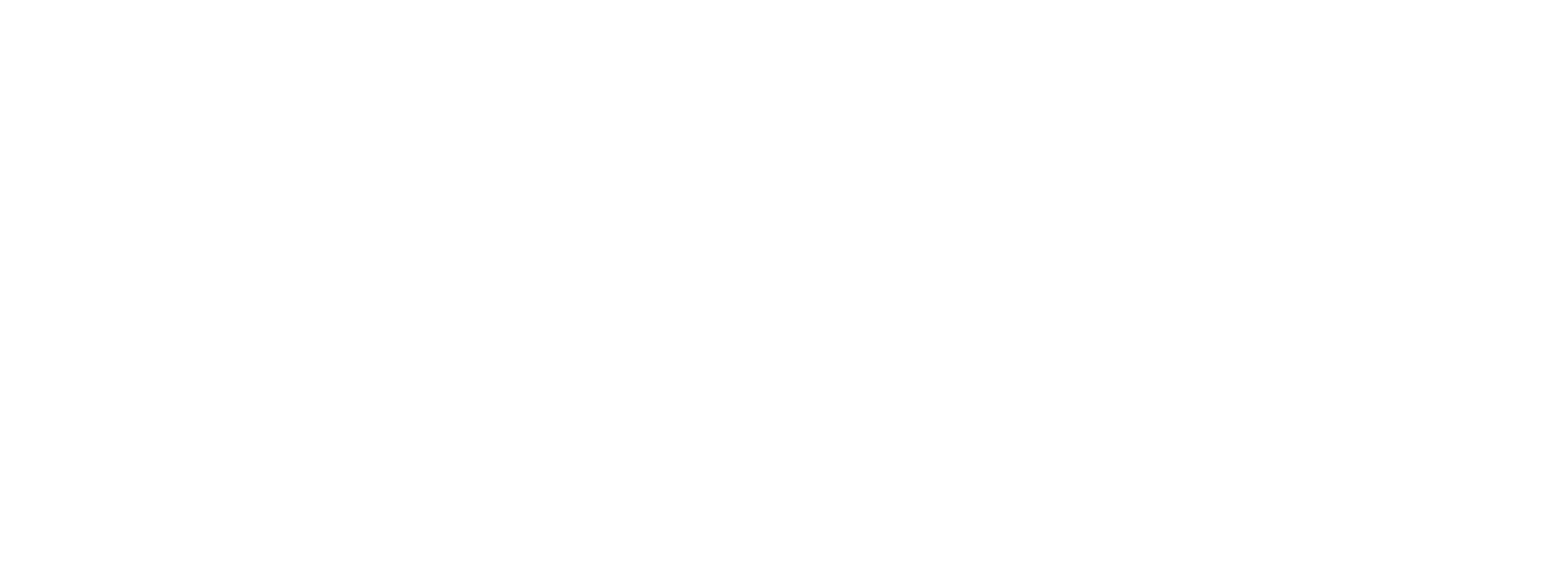 cropped vyte horizontal logo white apkirptas.png